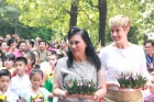 Loy Krathong festival 2017